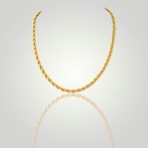 Monet Twist Chain Necklace